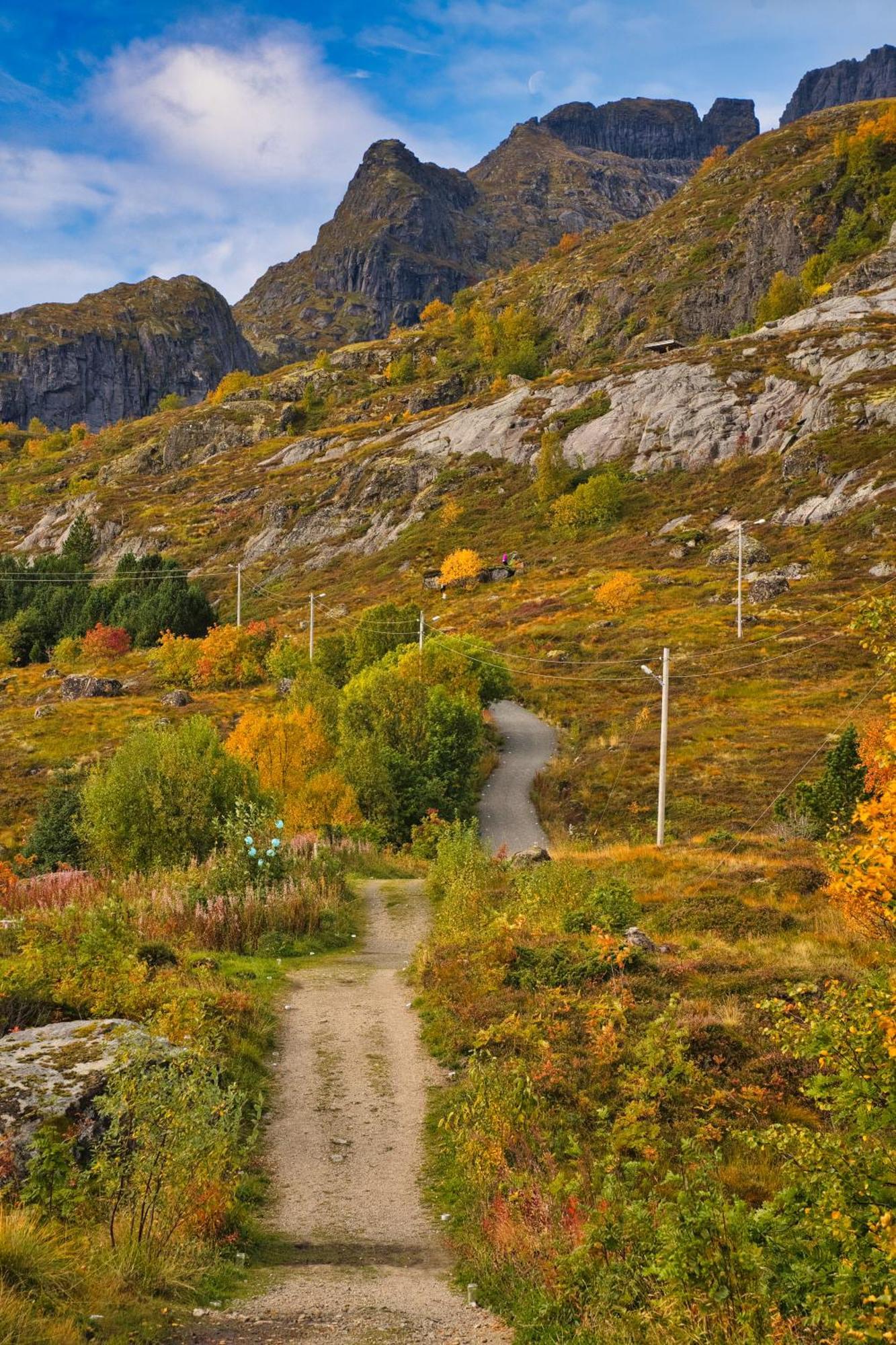 Lofoten Planet Studio Сёрвоген Экстерьер фото